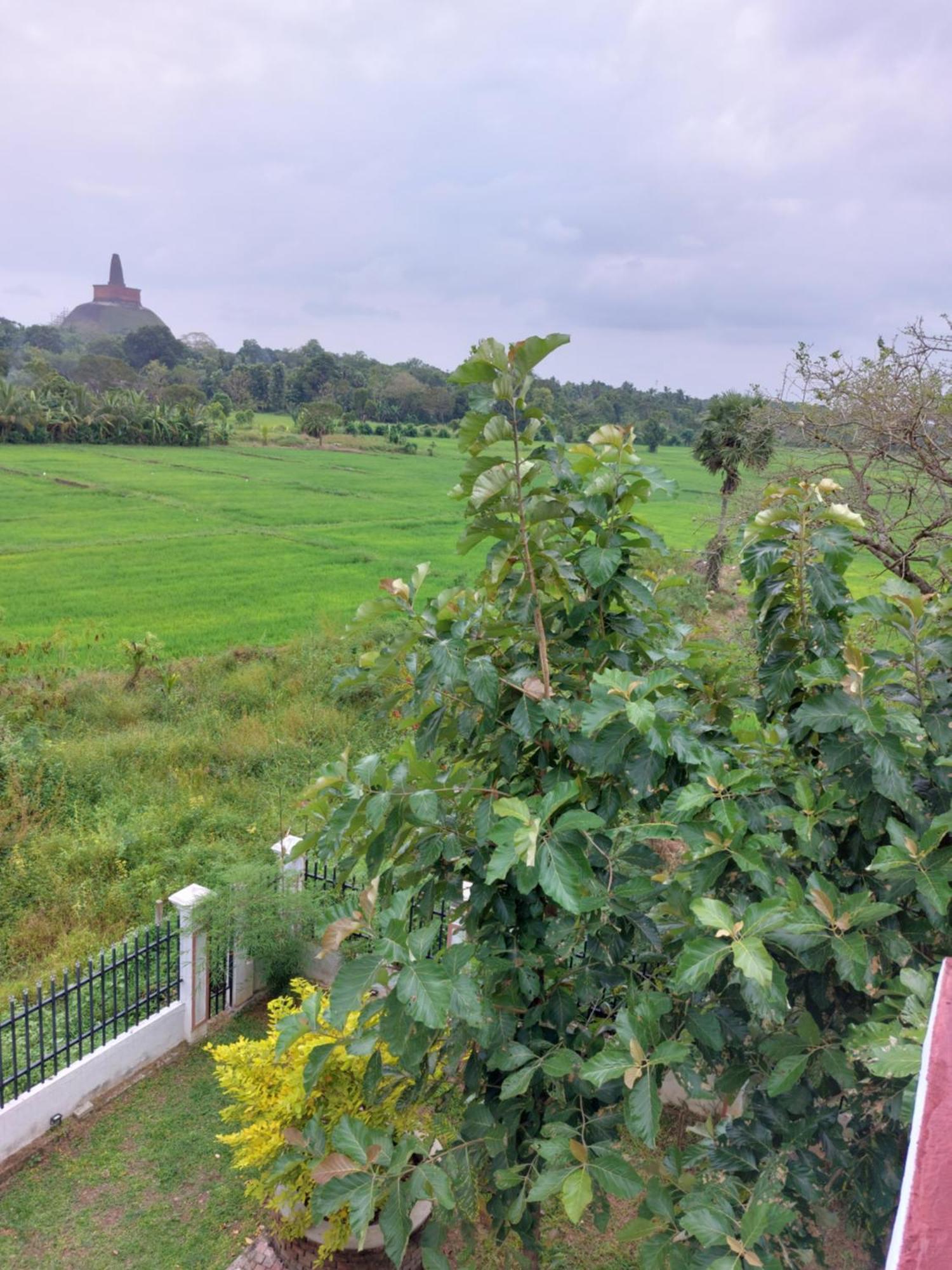 Green Shield Resort Anuradhapura Exterior foto